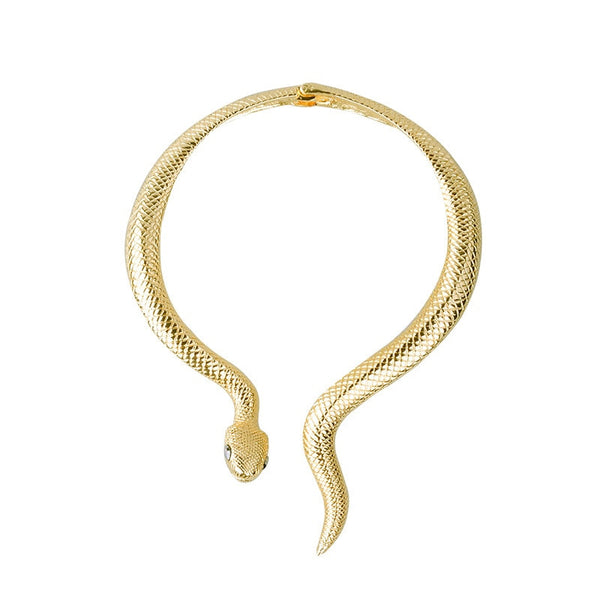 Snake Shape Necklace